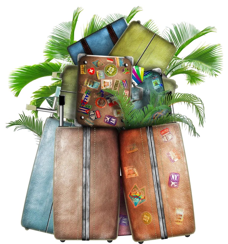 Travel Agent Vacation Hotel Suitcase, Travel, suitcase, transport, backpacking png